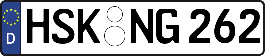HSK-NG262