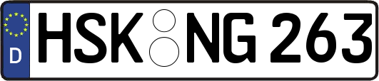 HSK-NG263