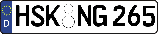 HSK-NG265