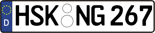 HSK-NG267