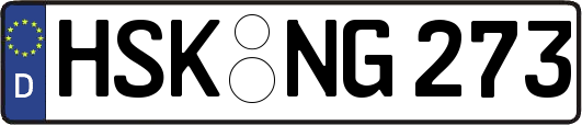 HSK-NG273