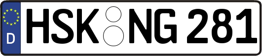 HSK-NG281