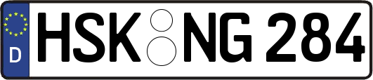HSK-NG284