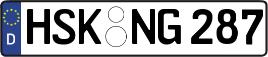 HSK-NG287