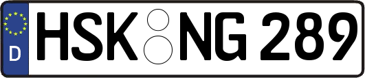 HSK-NG289