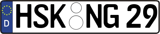 HSK-NG29
