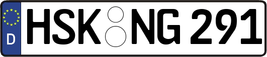 HSK-NG291