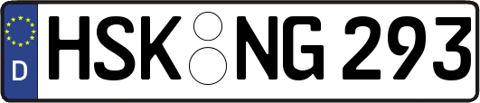 HSK-NG293