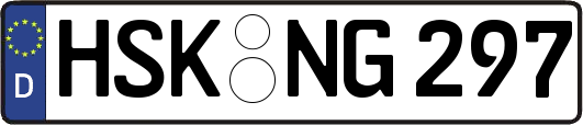 HSK-NG297