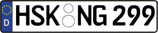 HSK-NG299