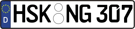 HSK-NG307