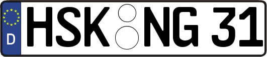 HSK-NG31
