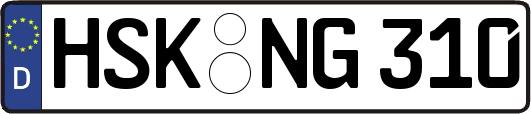 HSK-NG310
