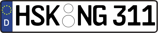 HSK-NG311