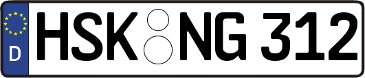 HSK-NG312