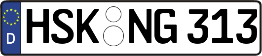 HSK-NG313