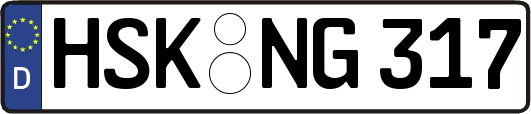 HSK-NG317