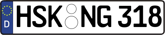 HSK-NG318