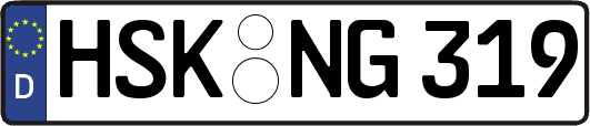 HSK-NG319