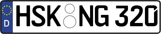 HSK-NG320