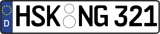 HSK-NG321