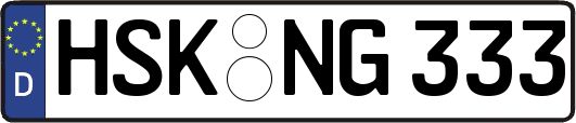 HSK-NG333