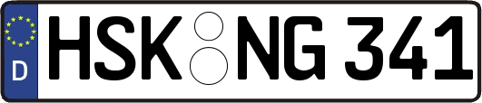 HSK-NG341