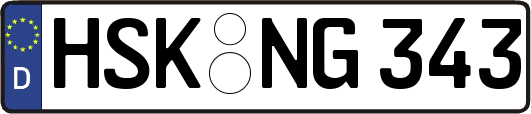 HSK-NG343