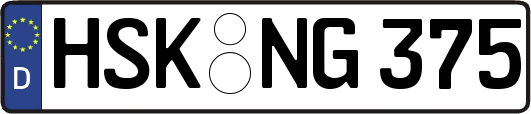HSK-NG375