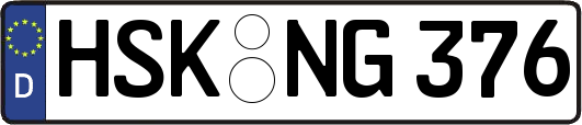 HSK-NG376