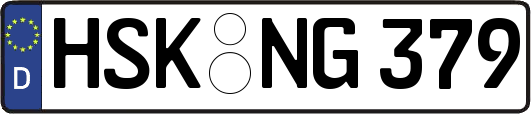 HSK-NG379