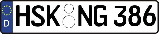 HSK-NG386