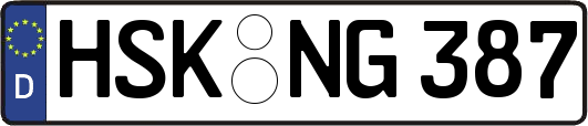 HSK-NG387