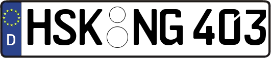 HSK-NG403