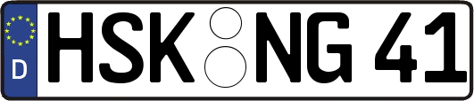 HSK-NG41