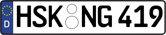 HSK-NG419