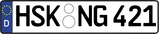 HSK-NG421