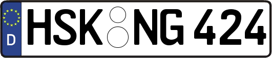 HSK-NG424