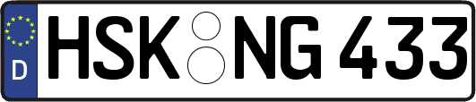 HSK-NG433