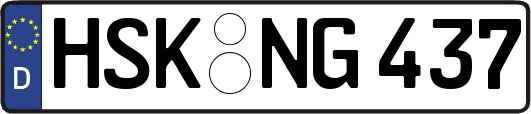 HSK-NG437