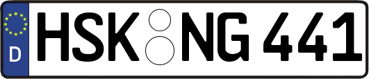 HSK-NG441