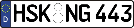 HSK-NG443