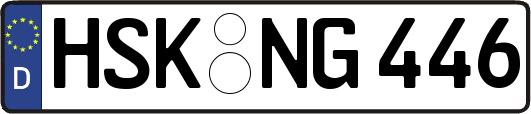HSK-NG446