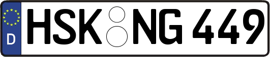 HSK-NG449