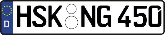 HSK-NG450