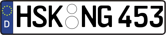 HSK-NG453