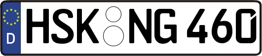 HSK-NG460