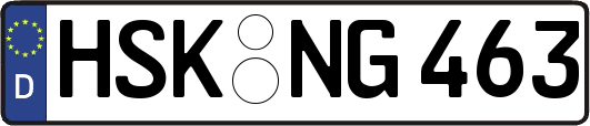 HSK-NG463