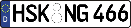 HSK-NG466