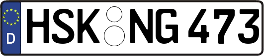 HSK-NG473